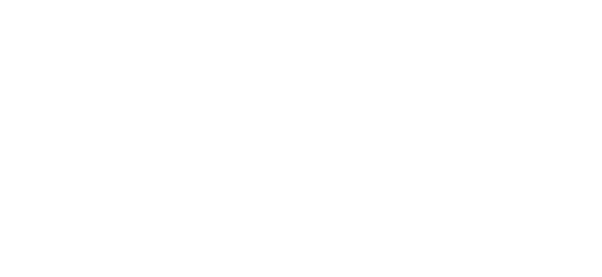 Zylu Full Logo Transparent