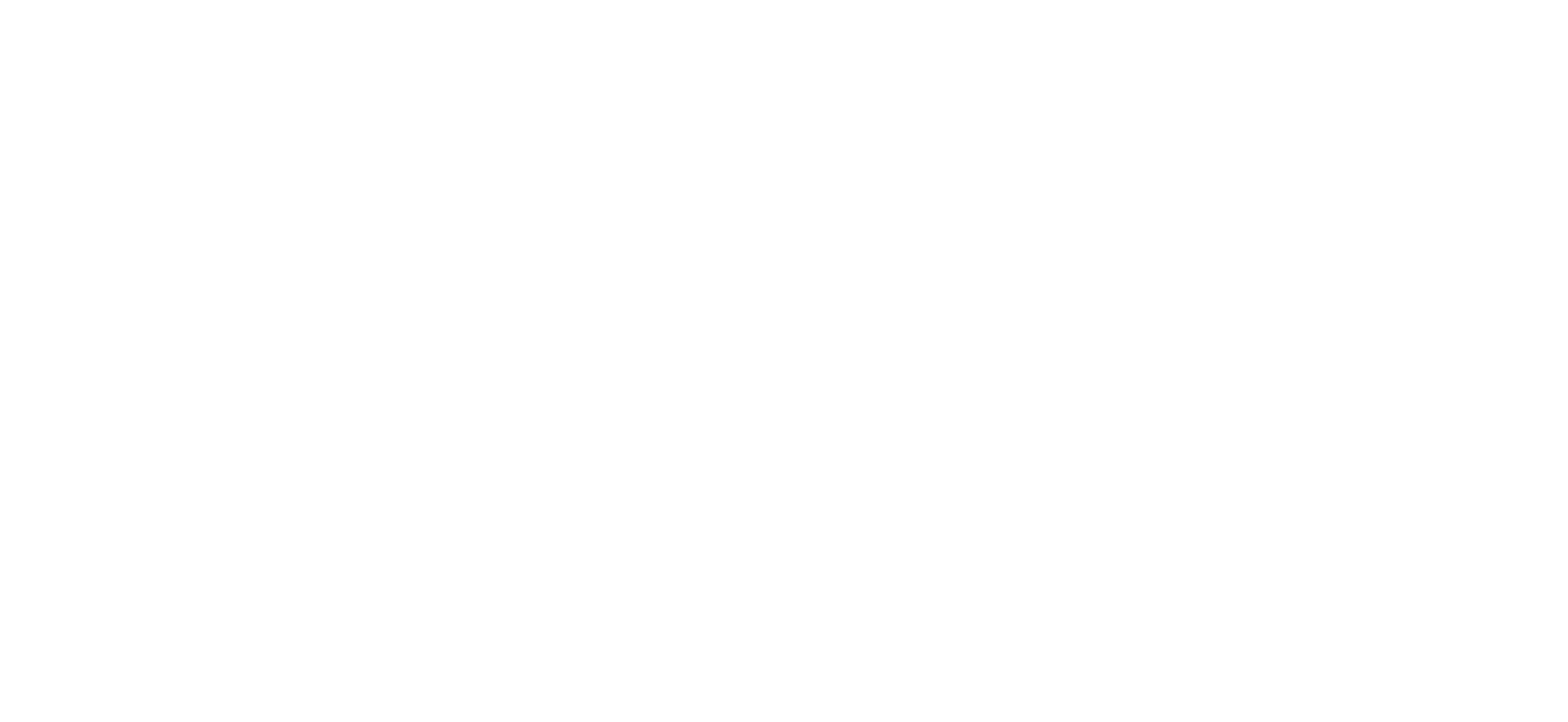 Zylu Full Logo Transparent