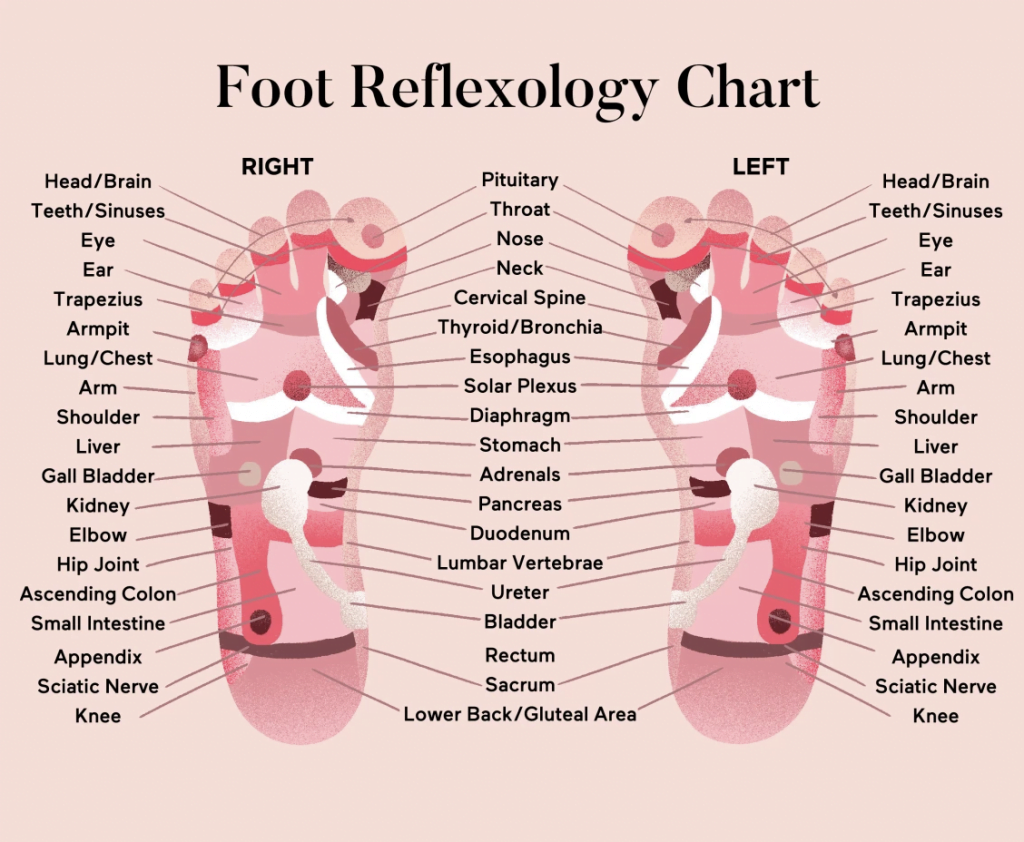 erotic foot massage map reflexology