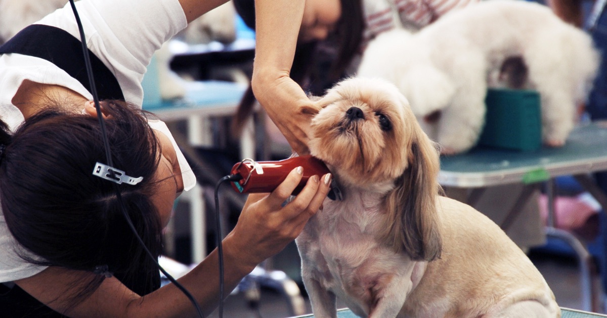 Grooming center operations